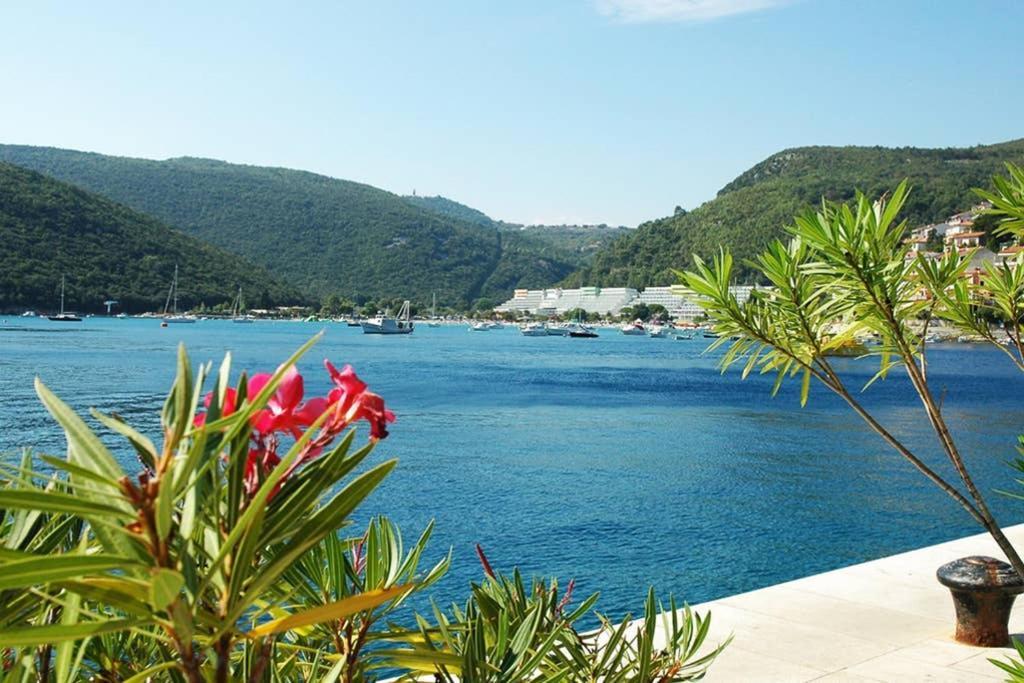 Apartment Noemi With A Direct Beach View Rabac Ngoại thất bức ảnh
